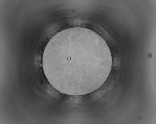 X0000102040820200808081832