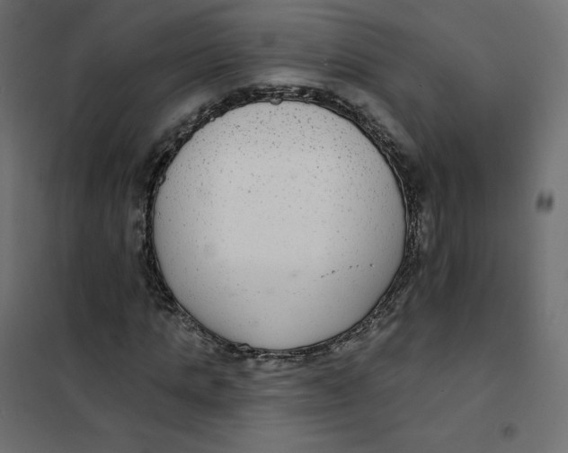 X0000102040821200808081832