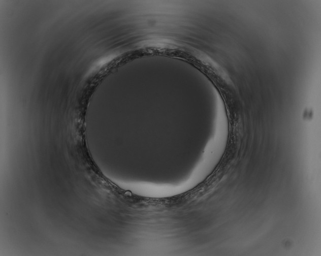 X0000102040822200808081833