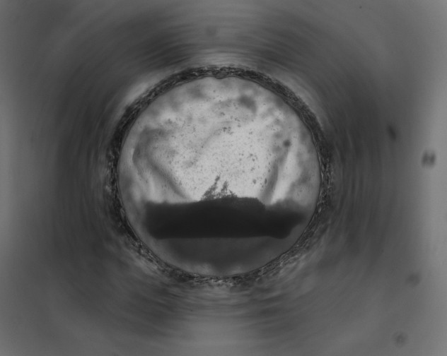 X0000102040823200808081833