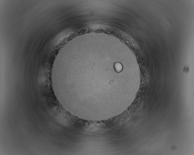 X0000102040824200808081833