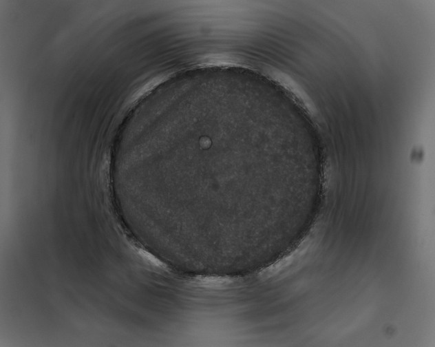 X0000102040825200808081833