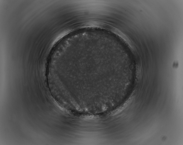 X0000102040826200808081833