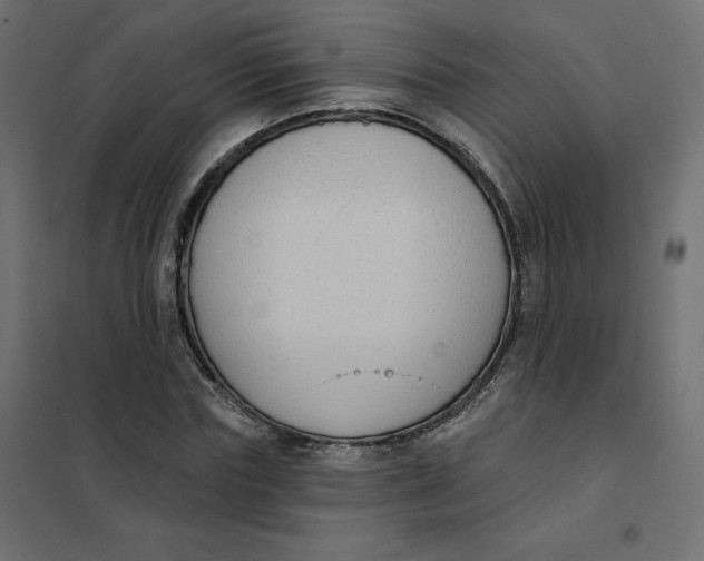 X0000102040827200808081833