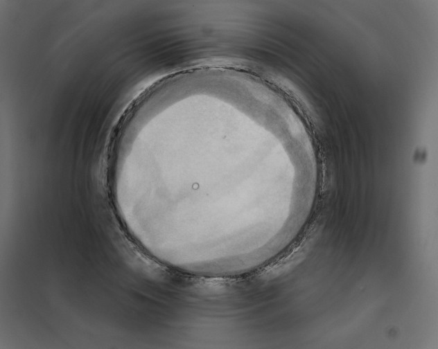 X0000102040828200808081833