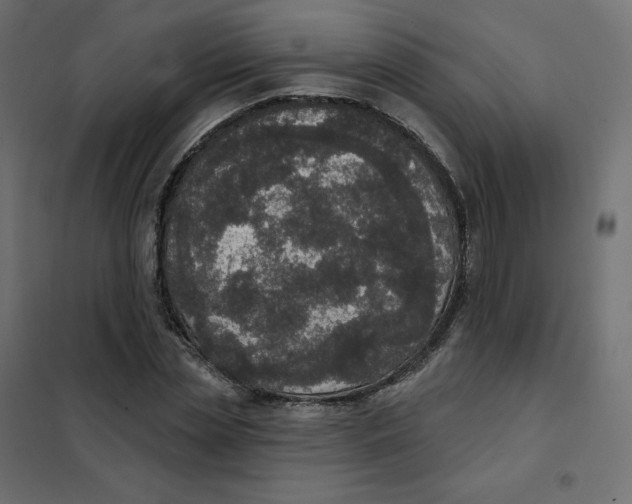 X0000102040829200808081833