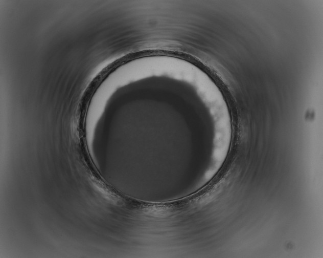 X0000102040830200808081833