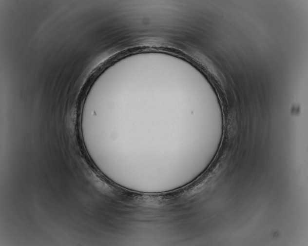 X0000102040831200808081833