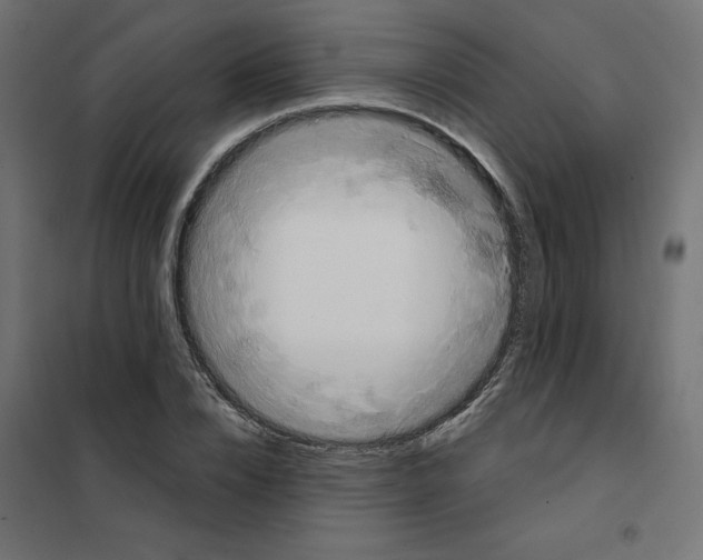 X0000102040832200808081833