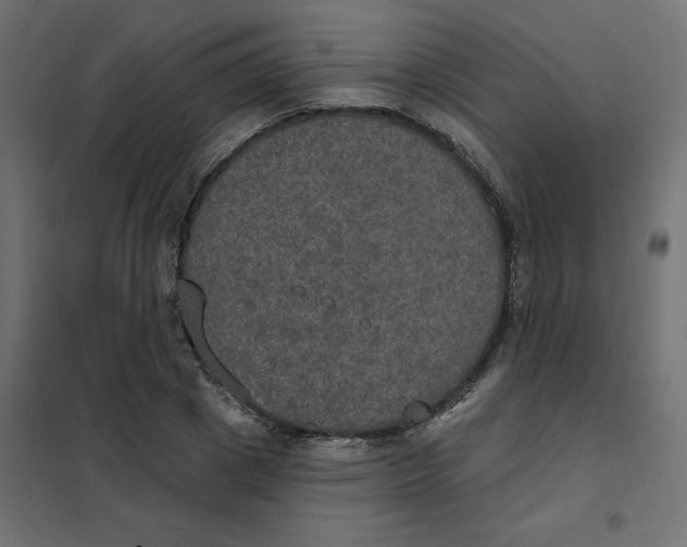 X0000102040833200808081833