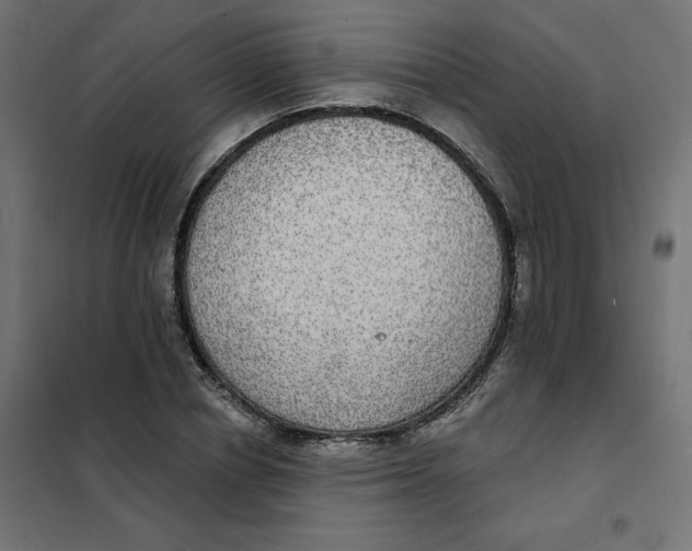 X0000102040834200808081833