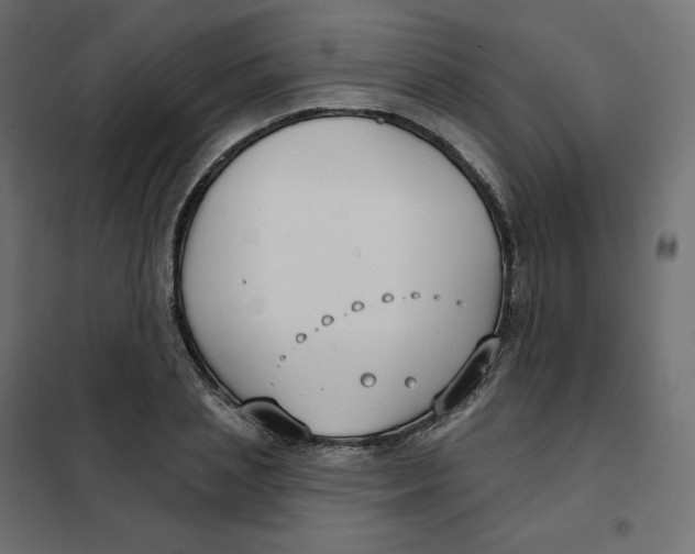 X0000102040837200808081833