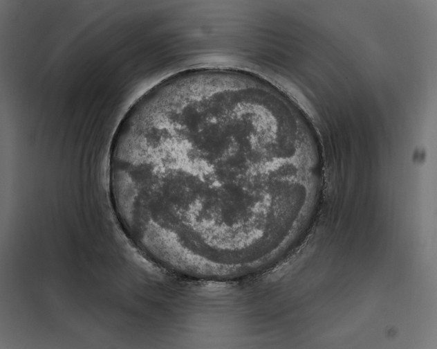 X0000102040839200808081833