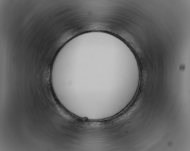 X0000102040841200808081833