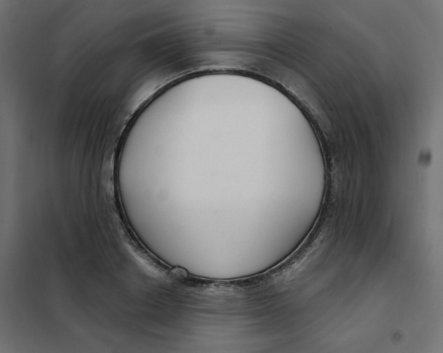 X0000102040842200808081833