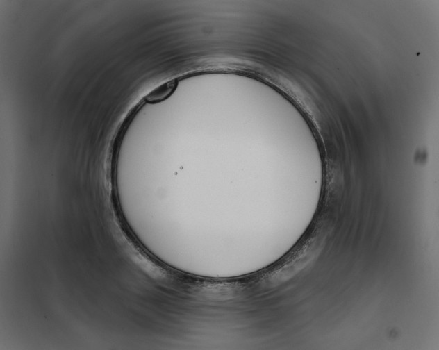 X0000102040843200808081833