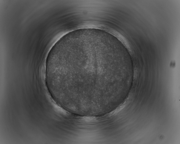 X0000102040844200808081833