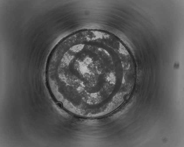 X0000102040845200808081833