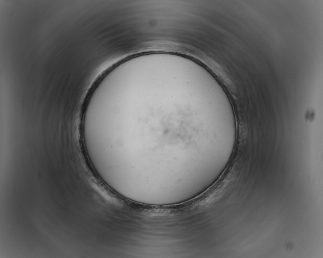 X0000102040846200808081833