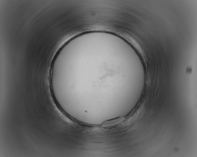 X0000102040847200808081833