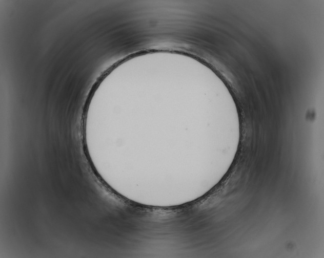 X0000102040848200808081833