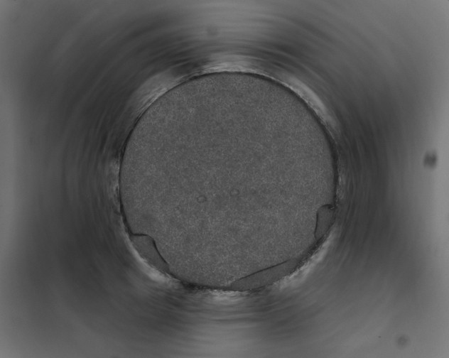 X0000102040849200808081833