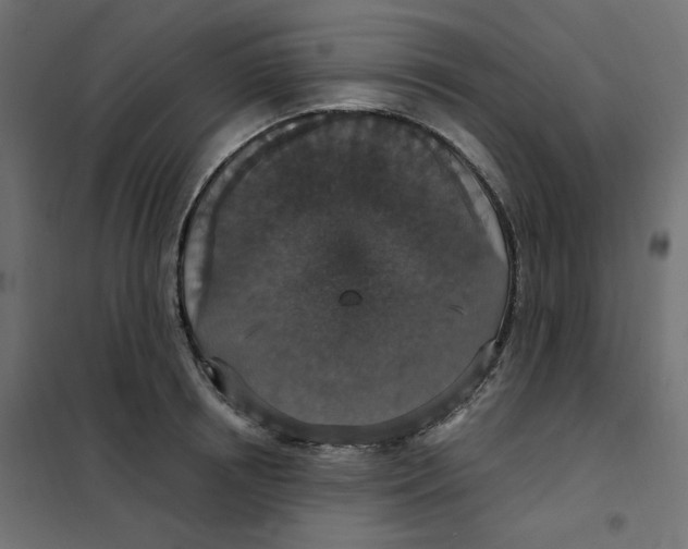 X0000102040850200808081833