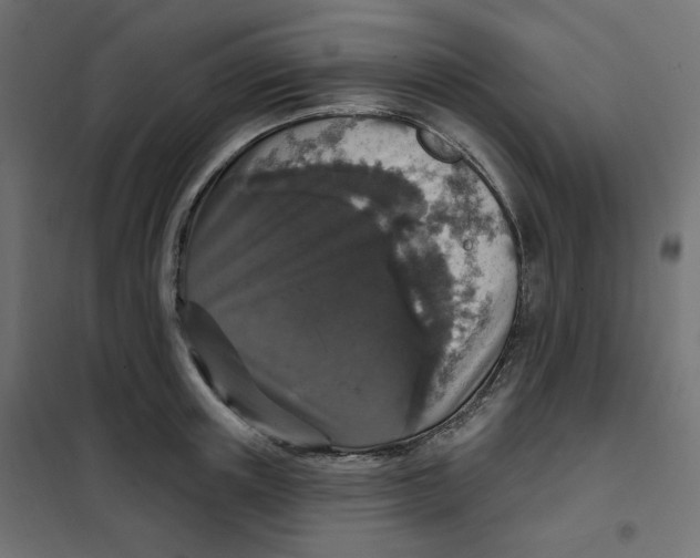 X0000102040851200808081833