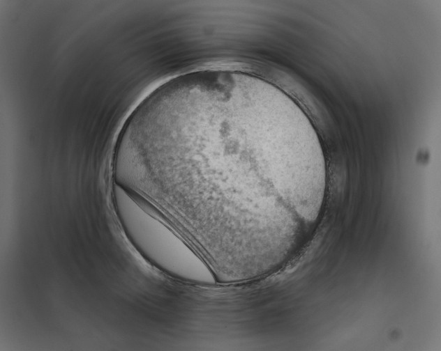 X0000102040852200808081833