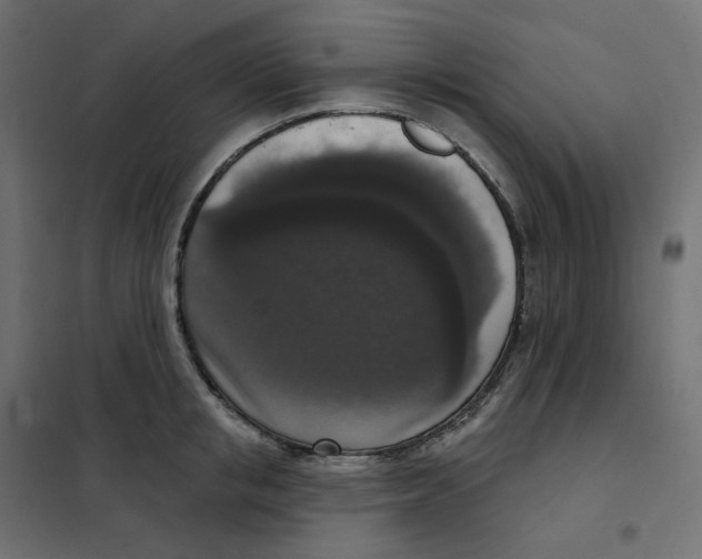 X0000102040853200808081833