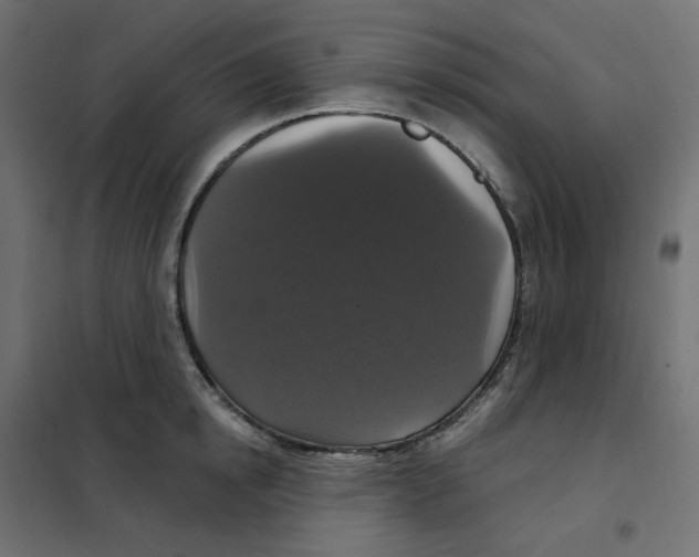 X0000102040854200808081833