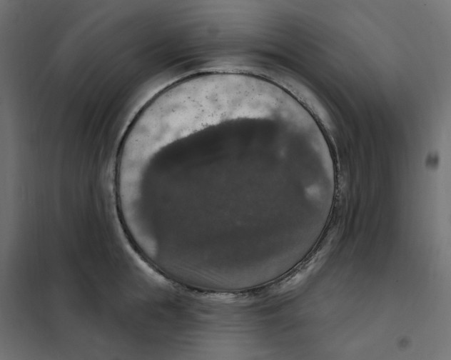 X0000102040855200808081833