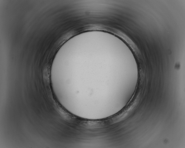 X0000102040857200808081833