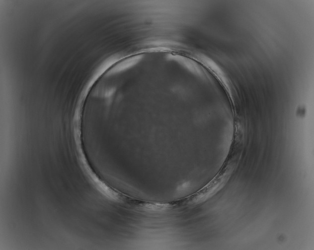 X0000102040859200808081833