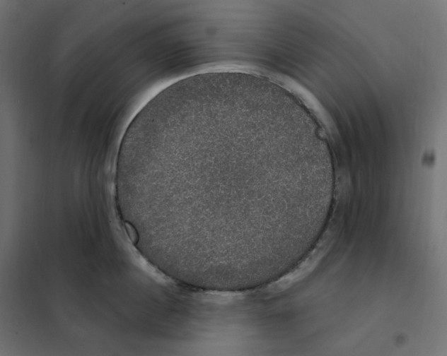 X0000102040860200808081833