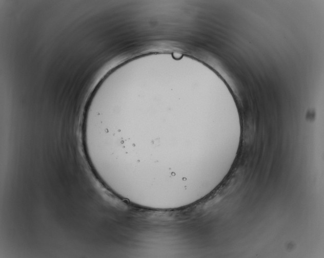 X0000102040861200808081833