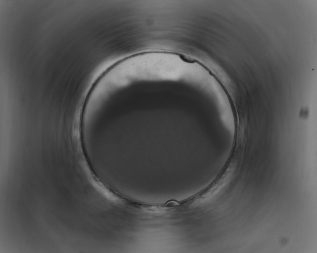 X0000102040862200808081833