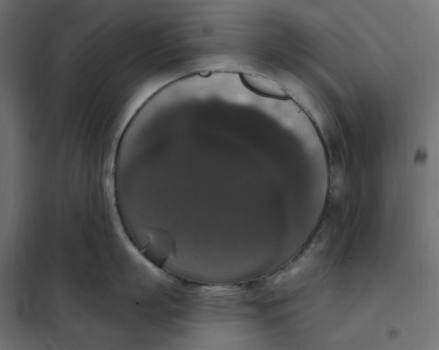 X0000102040863200808081833