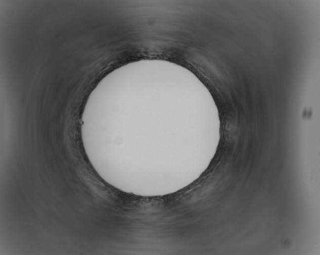 X0000102040865200808081832