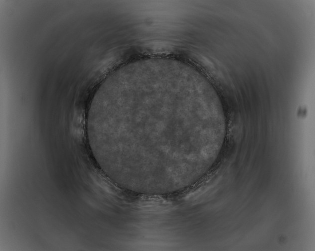 X0000102040866200808081832