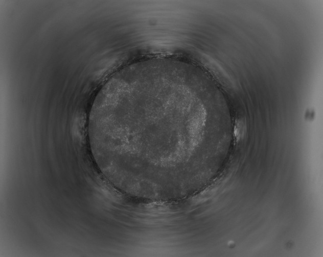 X0000102040867200808081832