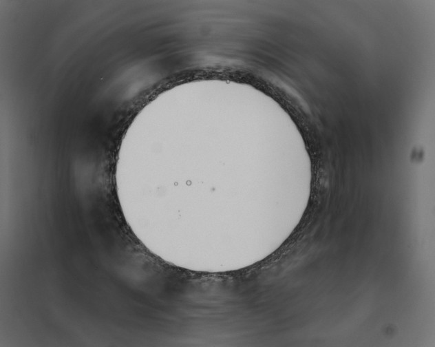 X0000102040869200808081832