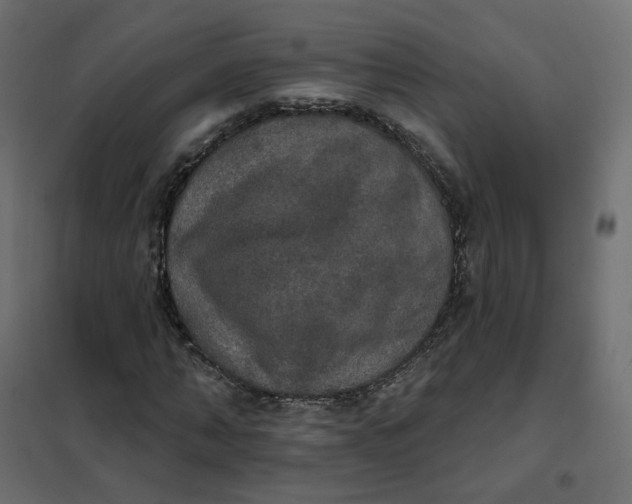 X0000102040870200808081832