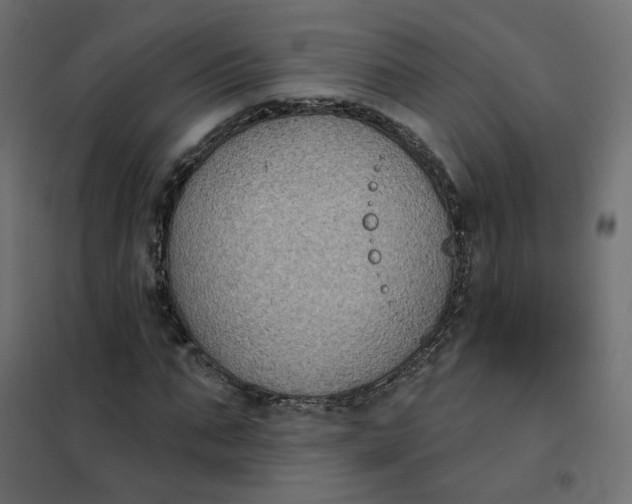 X0000102040871200808081832