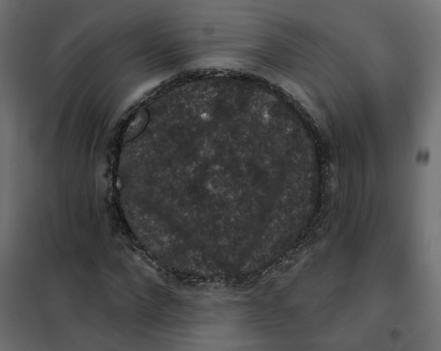 X0000102040872200808081832