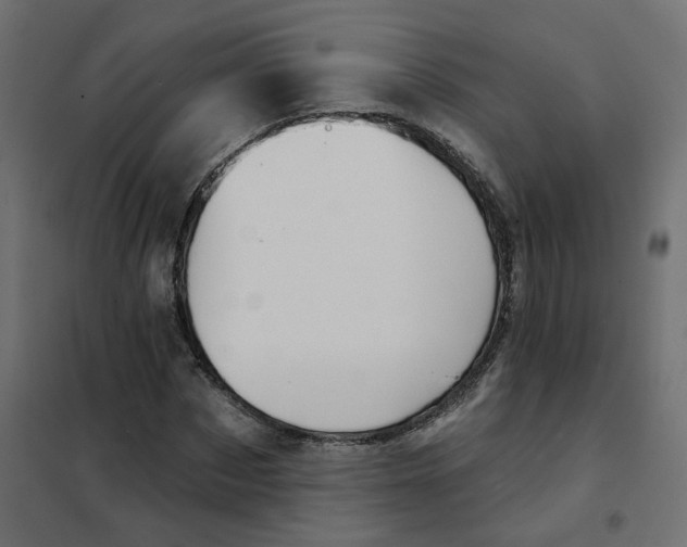 X0000102040873200808081832