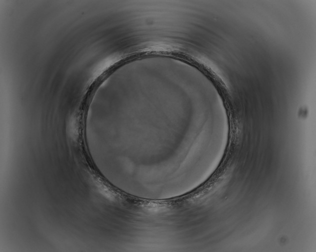 X0000102040874200808081832