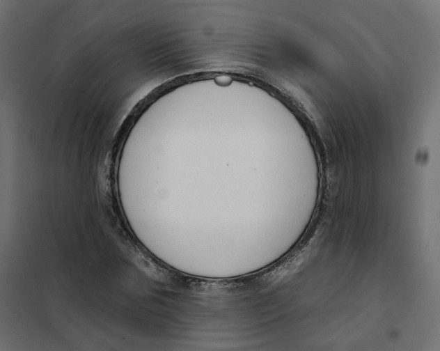 X0000102040875200808081832