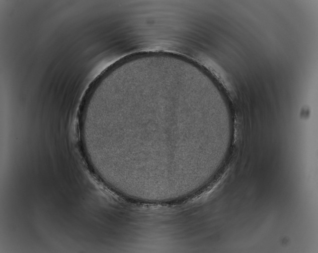 X0000102040876200808081832