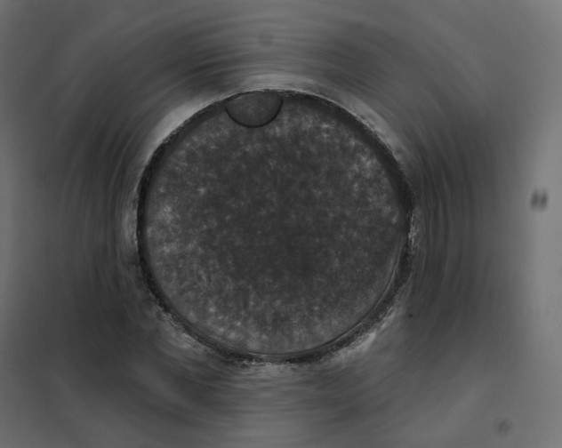 X0000102040877200808081832